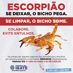 CAMPANHA CONTRA ESCORPIÕES IBATÉ-SP