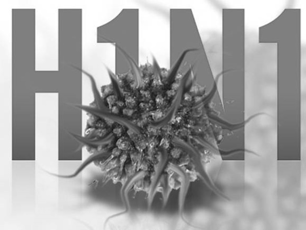 H1N1
