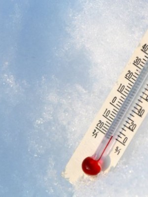 FRIO
