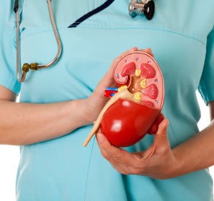 Transplante-renal-o-que-e-necessario-para-ser-um-doador-ou-um-receptor-