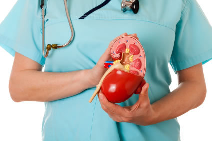 Transplante-renal-o-que-e-necessario-para-ser-um-doador-ou-um-receptor-