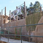 Urso recinto (159)