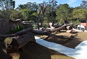 Novo recinto no Parque Ecológico