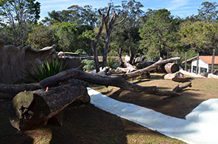 Novo recinto no Parque Ecológico