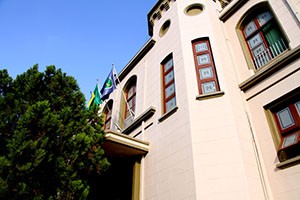 audiência árvores