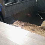 crime ambiental 4