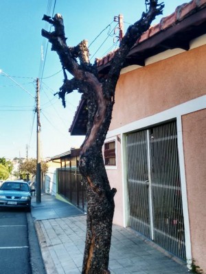 13466342_1286736388023088_7482923069042545769_n