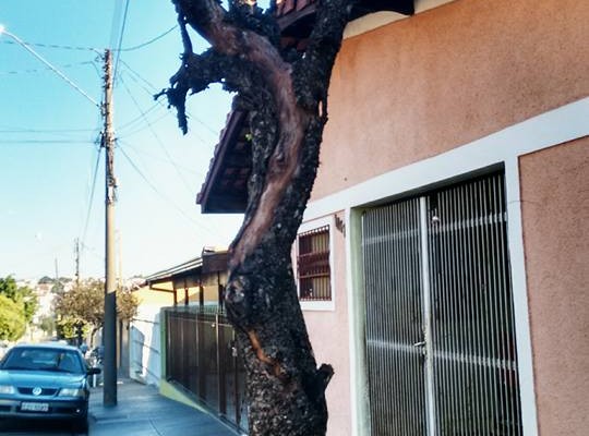 13466342_1286736388023088_7482923069042545769_n