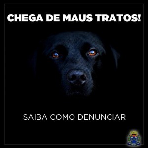 16388107_1071666852962326_5217409450580328296_n