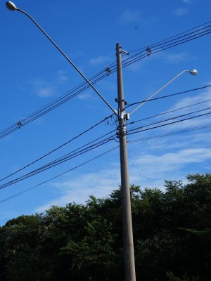 16797790_1544721238891267_2172863850493325576_o (1)