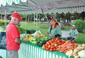 Feira_site