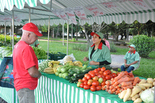 Feira_site