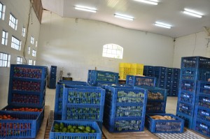 banco de alimentos (34)