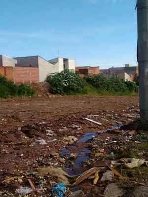 1ALIXÃO