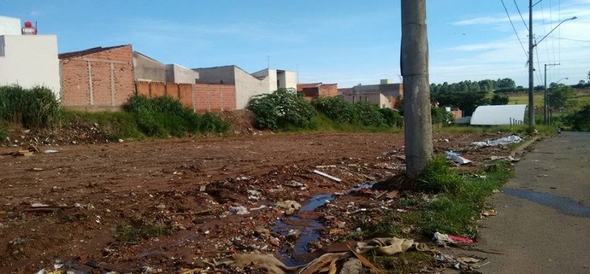 1ALIXÃO