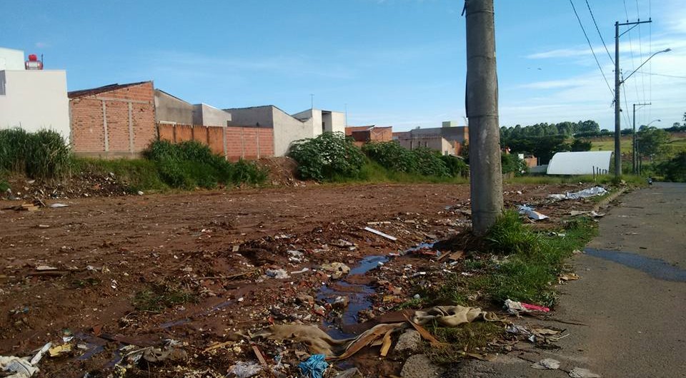 1ALIXÃO