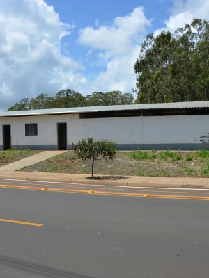 1aaraucária  (12)