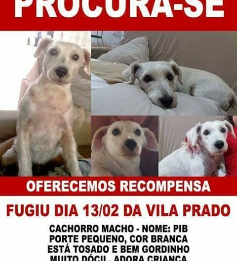 1aprocura-se