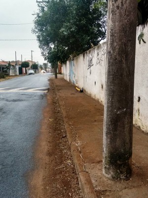 1ACAPA1