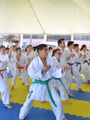1AESPORTE