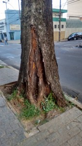 1AIPÊ2
