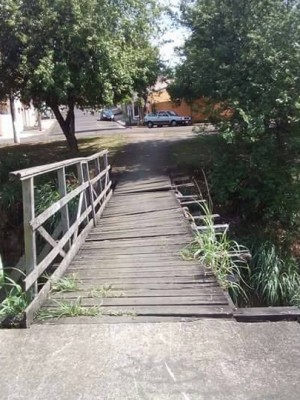 AAPONTE1