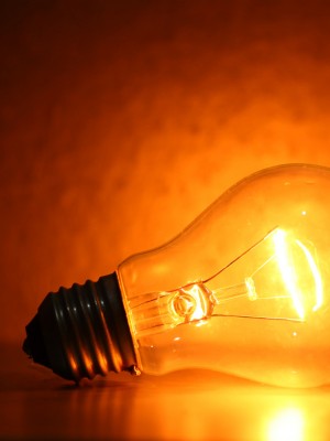 Bulb