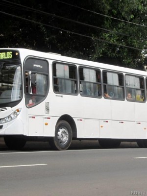 AAONIBUS