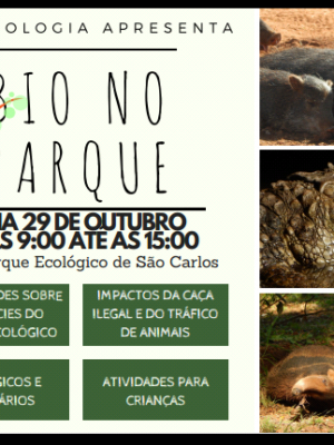 AAAECOLOGICO