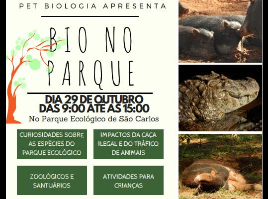 AAAECOLOGICO
