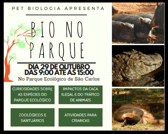 AAAECOLOGICO