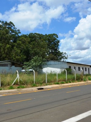 AAAESCOLAARAUCARIA