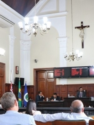 AAAPLANOPLURIANUAL133