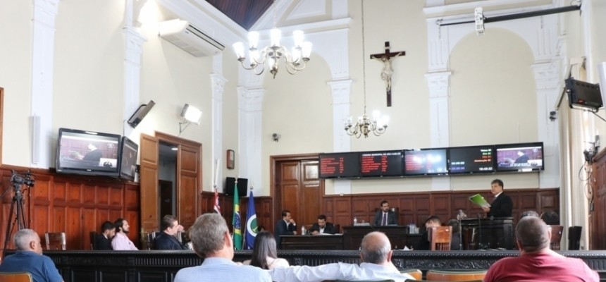 AAAPLANOPLURIANUAL133