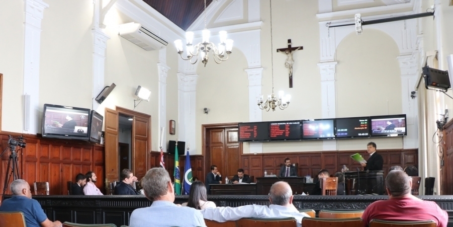 AAAPLANOPLURIANUAL133