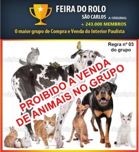 AAAPROIBIDOVENDADEANIMAIS
