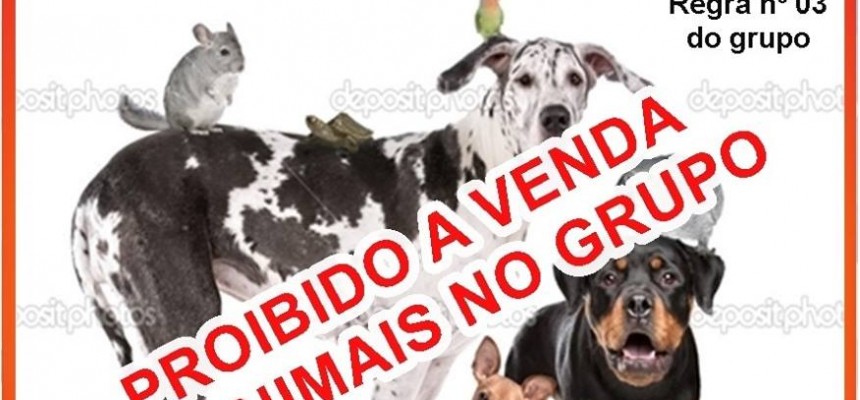AAAPROIBIDOVENDADEANIMAIS