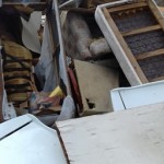 26133467_1527455464012804_60675722_n