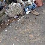 26176046_1527455474012803_121806054_n