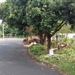 26177006_1527455627346121_362963067_n