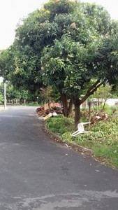 26177006_1527455627346121_362963067_n