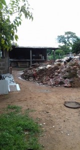 26241399_1527455574012793_1956700470_n