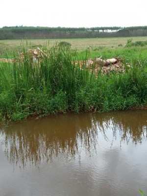 AAADESCARTEIRREGULAR