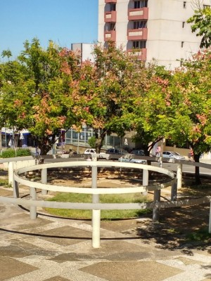 AAAPRAÇACORONELSALES