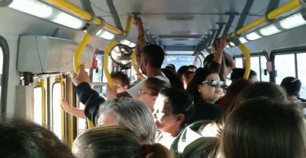 noticia_damha bus