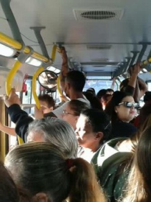 noticia_damha bus