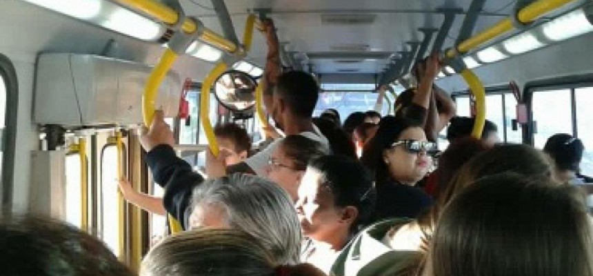 noticia_damha bus