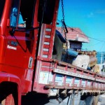 27858500_1562246997157292_574946686875239279_n