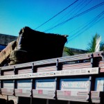 28161657_1562246850490640_3076129133288653597_o