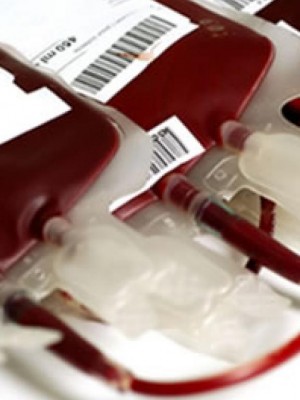 AAADOAÇÃODESANGUE134